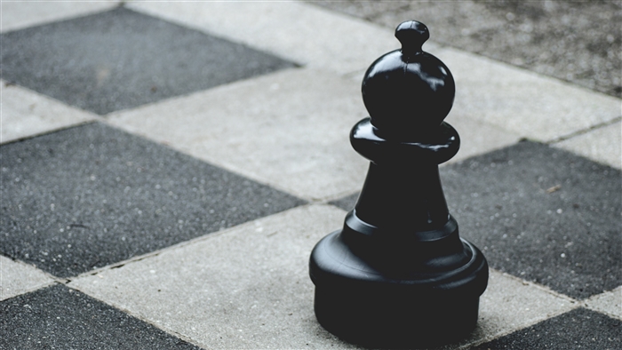 Black chess elephant on a chessboard