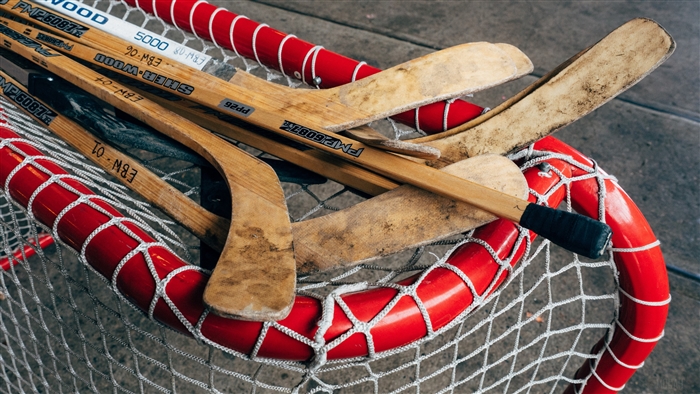 Hockey sticks in a net