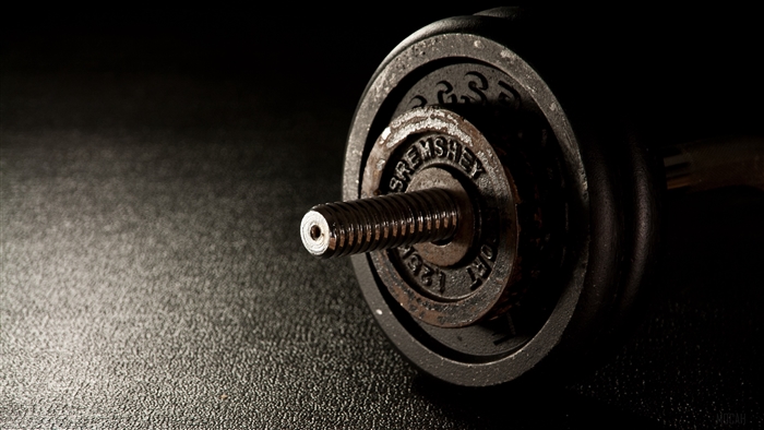 Close-up of a rusty dumbbell with weight plates