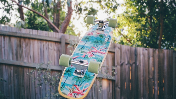 Skateboard with flamingo and palm tree design