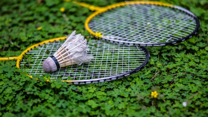 Badminton rackets and shuttlecock on grass 4K