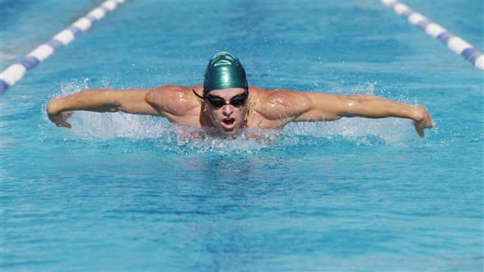 Swimmer performing butterfly stroke in swimming pool 4K