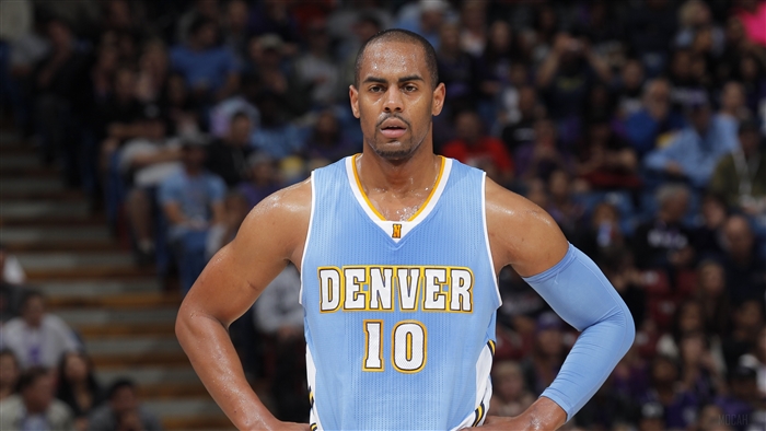 Arron Afflalo Denver Nuggets 10