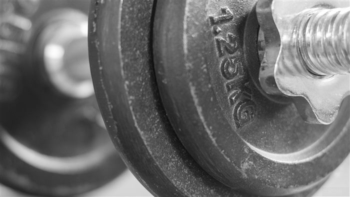 Barbell weight plates