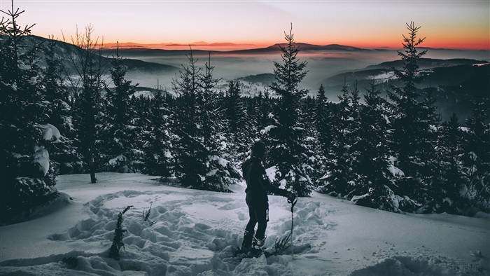 Skier in snowy forest at sunset 4K