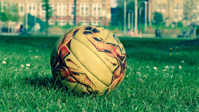 Soccer ball on grass field
