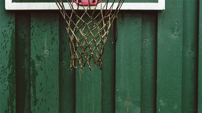 Basketball net and hoop against a green wooden wall