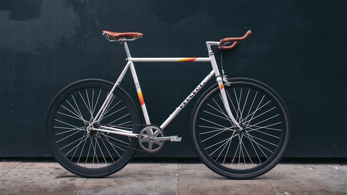 Peugeot Sport Bicycle 4K