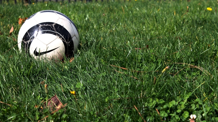 Soccer ball with Nike logo on grass 4K