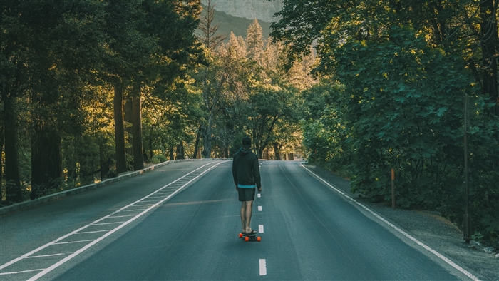 Man skateboarding on a road through trees 4K