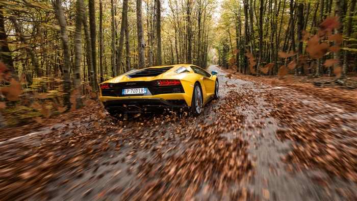 Yellow Lamborghini Aventador S on a leaf-covered road