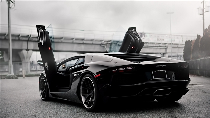 Black Lamborghini Aventador with Doors Up