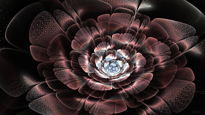 Fractal flower with pink and blue petals
