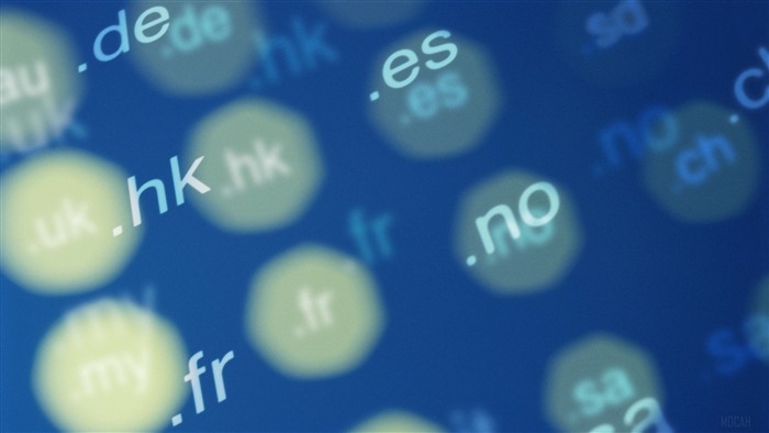 Abstract background with domain names and circles
