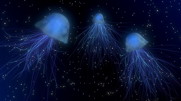 Three glowing blue jellyfish in a starry dark blue background