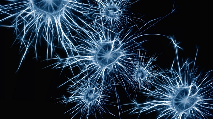 Abstract blue neurons 4K