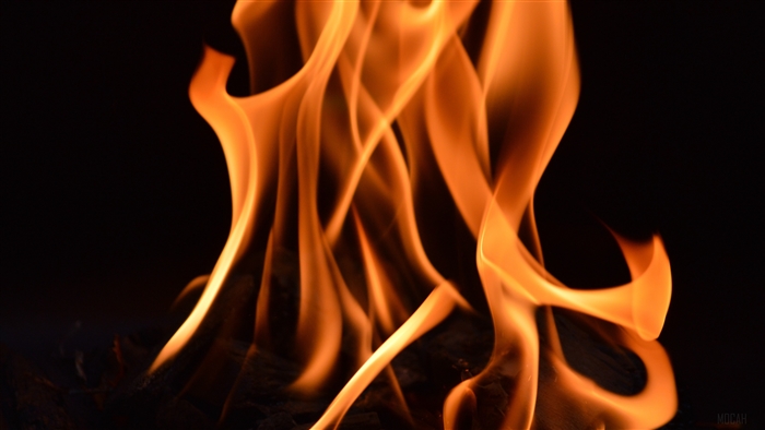Bonfire flame 4K