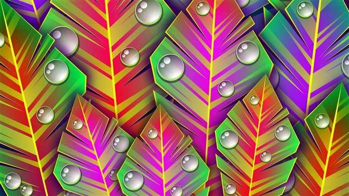 Colorful Feathers with Dew Drops Pattern 4K