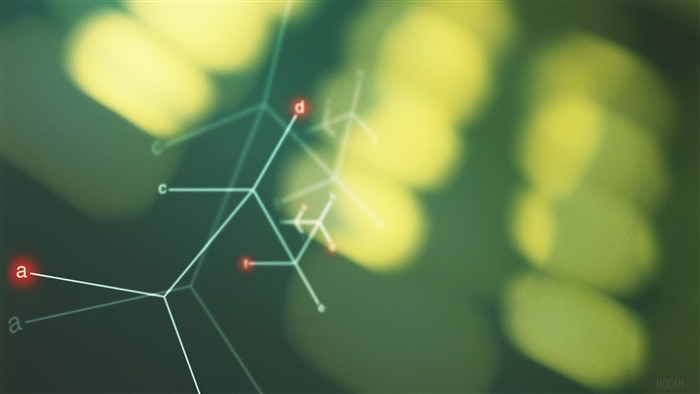 Abstract network with glowing lights