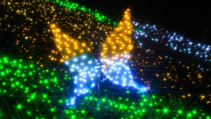 Butterfly made of lights, abstract glitter 4K