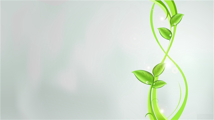 Green abstract plant with leaves and glare 4K