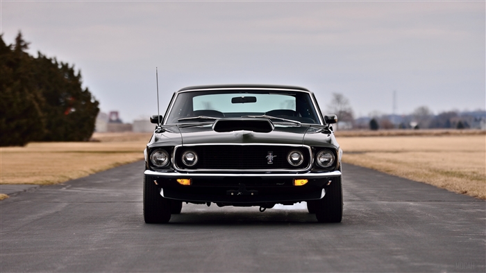 Ford Mustang Boss 429 Fastback