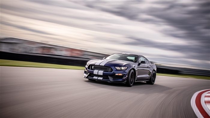 2019 Ford Mustang Shelby GT350