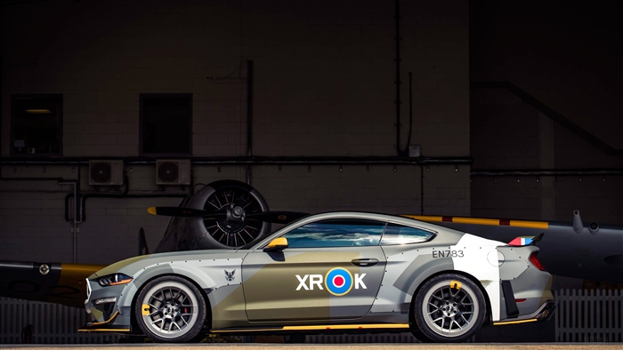Ford Mustang GT Eagle Squadron 2018 4K