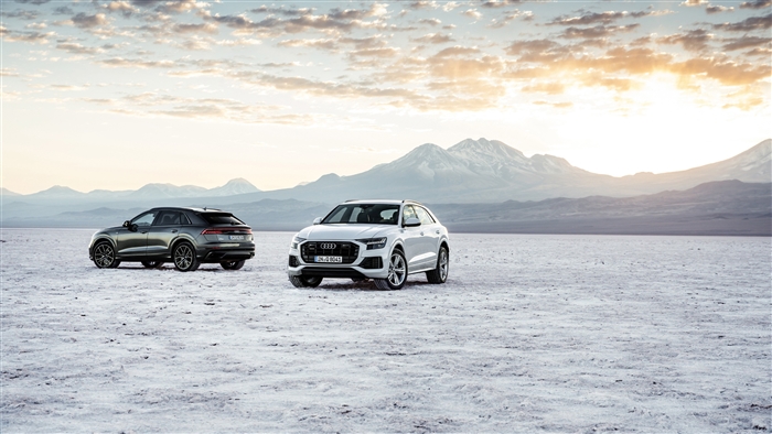 Audi Q8 Cars