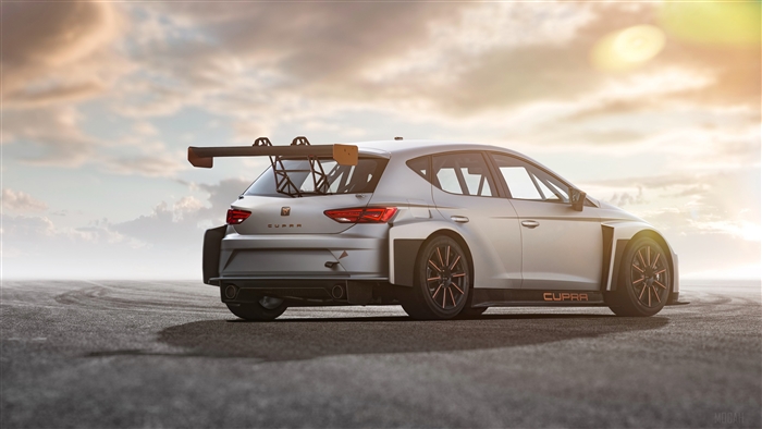 Cupra TCR Race Car Rear View 4K