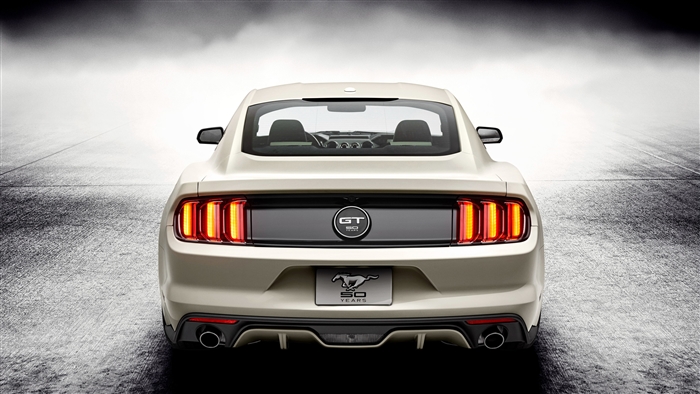 Ford Mustang GT 50 Years Edition 2018