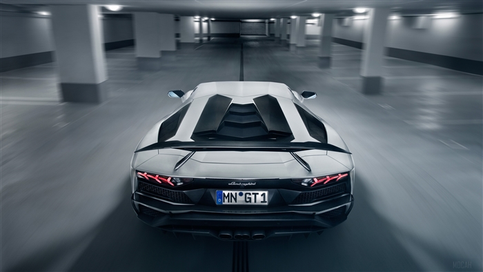 Novitec Torado Lamborghini Aventador S 2018 Rear View