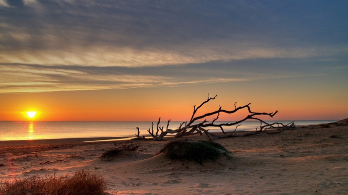 Sunset over a beach with driftwood