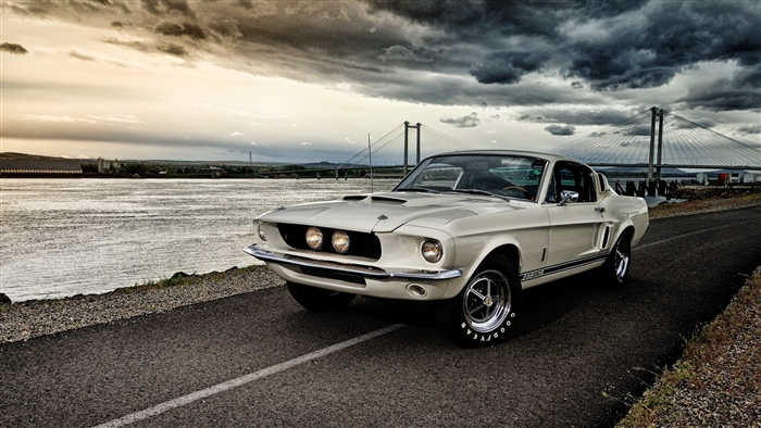 White Ford Mustang GT350 4K