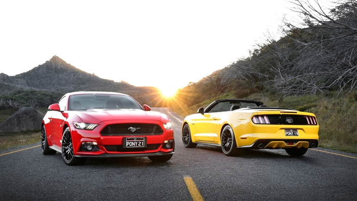 Red and Yellow Ford Mustangs on a Road