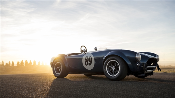 1964 Shelby Cobra 289