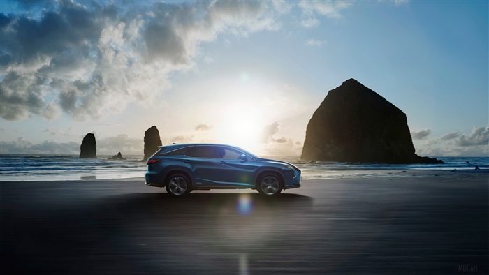 2018 Lexus RX 450hL on a beach with rock formations