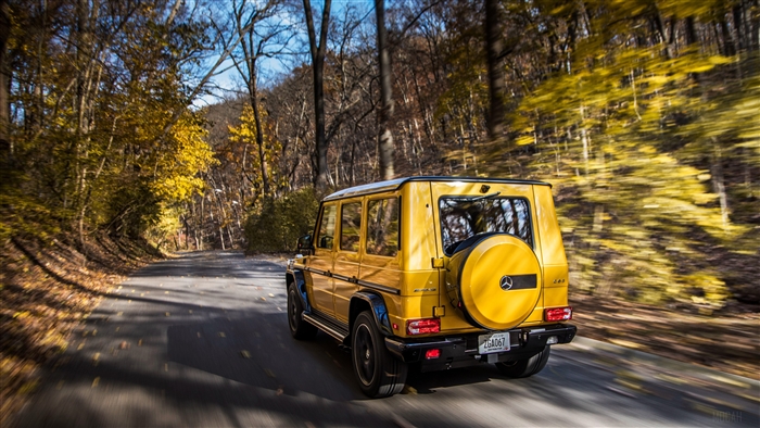 Yellow Mercedes-AMG G63 Driving on a Forest Road