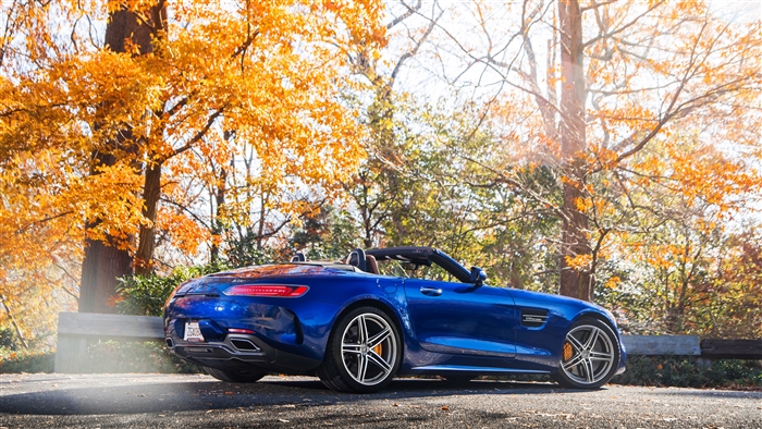 Blue Mercedes AMG GT C Roadster in Autumn