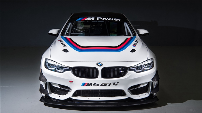 2018 BMW M4 GT4 Race Car