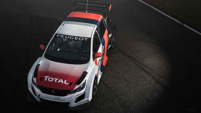 Peugeot 308 TCR race car from above 4K