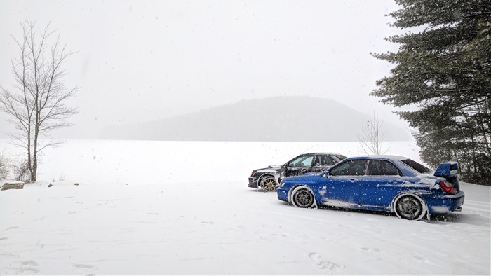 Snowy Subarus