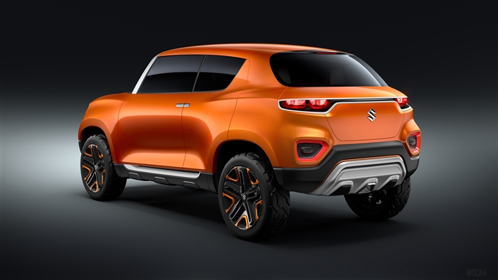 Suzuki Concept Future S 2018 Rear