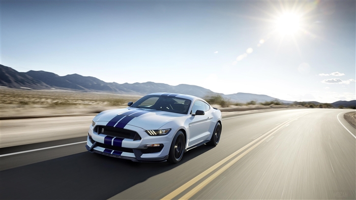 White Ford Mustang Shelby GT500 4K