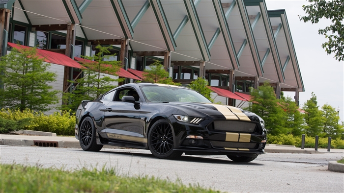 Black 2016 Ford Shelby GT H 4K