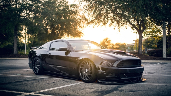 Black Ford Mustang Shelby 4K