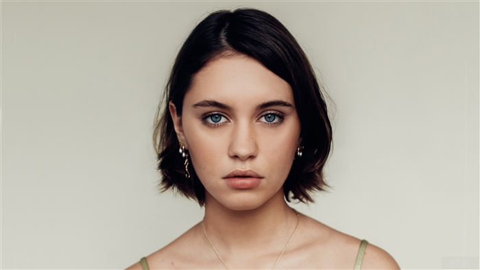 Iris Law