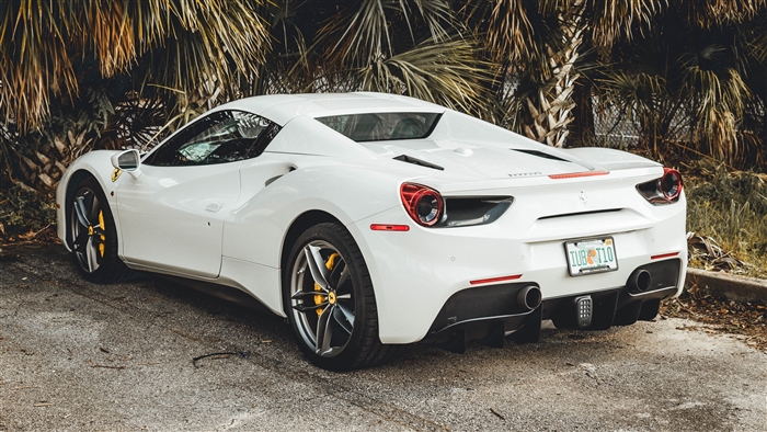 White Ferrari 488 GTB parked near palm trees