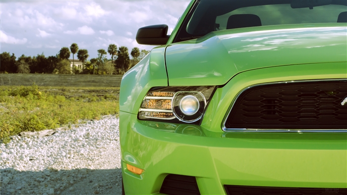 Green Ford Mustang sports car front view 4K