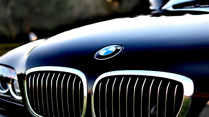 BMW car hood with logo